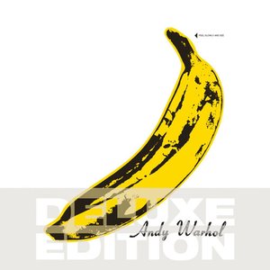 Image for 'The Velvet Underground & Nico 45th Anniversary (Deluxe Edition)'