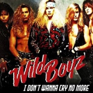 Image for 'I Don't Wanna Cry No More'
