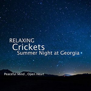 Immagine per 'Relaxing Crickets Summer Night at Georgia'