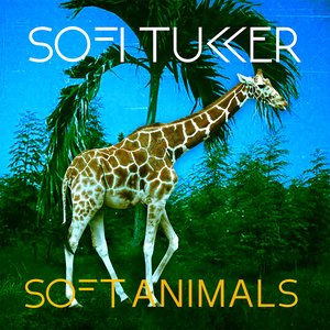 'Soft Animals EP'の画像