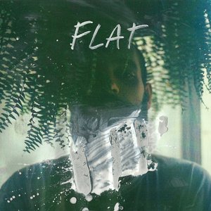 Zdjęcia dla 'Flat'