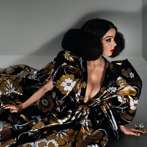 'Björk'の画像