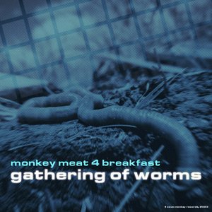 Image for 'Gathering of Worms'