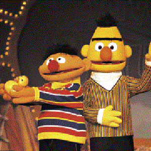 Immagine per 'Bert en Ernie'