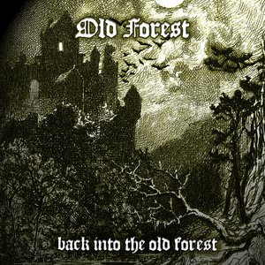 Image for 'Back Into the Old Forest'