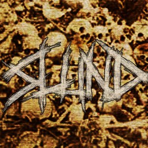 “Slund”的封面