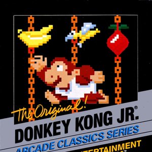 Image for 'Donkey Kong Jr.'