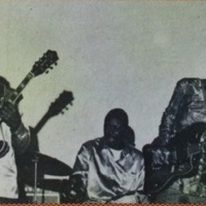 Image for 'Muddy Waters Blues Band'