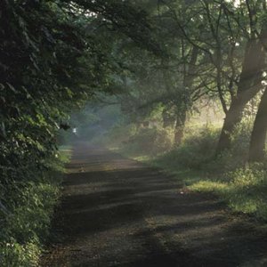 Image for 'Backroads'