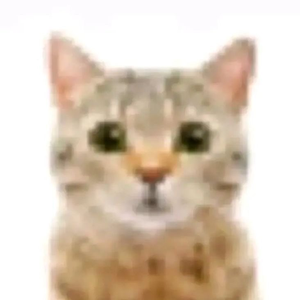 nickdanonix