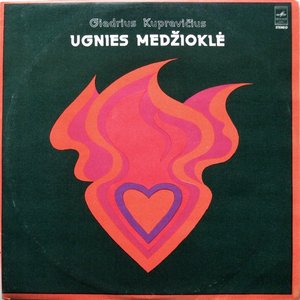 Image for 'ugnies medžioklė'