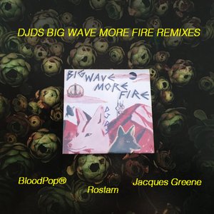 Imagen de 'Big Wave More Fire (Remixes)'