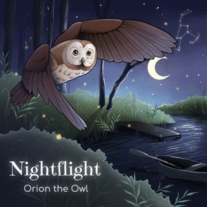 Image for 'Nightflight'