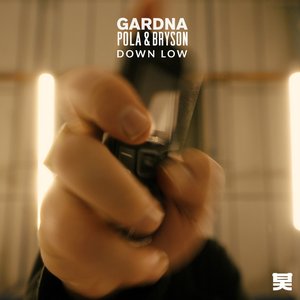 Image for 'Down Low'