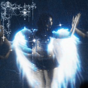 Zdjęcia dla 'call of the night'