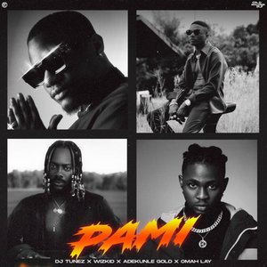 “PAMI (feat. Wizkid, Adekunle Gold & Omah Lay)”的封面