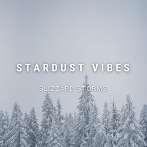 “Blizzard Storms”的封面