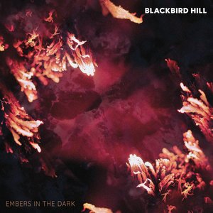 Image for 'Embers In The Dark'