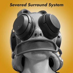 Image for 'Severed Surround System'