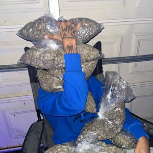Zdjęcia dla 'Gangster'