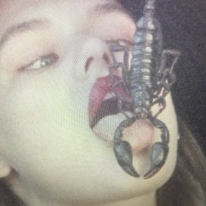 gloxoui