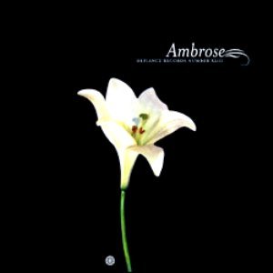 Image for 'Ambrose'