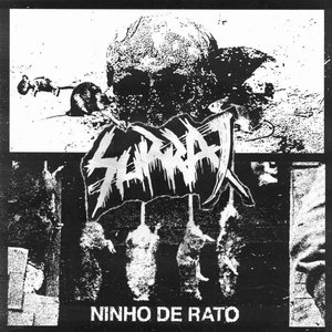 “Ninho de Rato”的封面