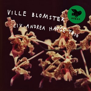 Image for 'Ville Blomster'