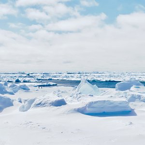 Image for 'Antarctica'