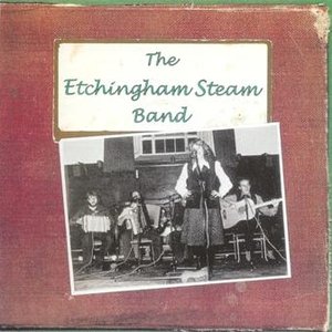 Image for 'Etchingham Steam Band'