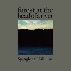 Image for 'Forest At The Head Of A River'