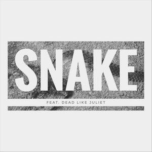 Image for 'Snake'