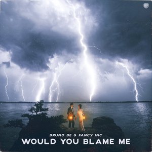 Image for 'Would You Blame Me'