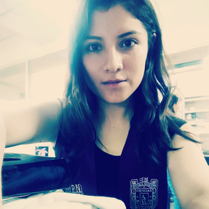 saie_95