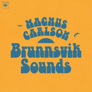 Image for 'Brunnsvik Sounds'