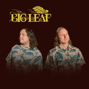 Image for 'Big Leaf'