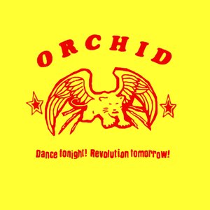 “Dance Tonight! Revolution Tomorrow!”的封面