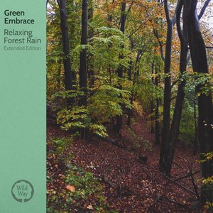 Image for 'Relaxing Forest Rain (Extended Edition)'