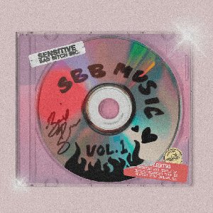 Image pour 'Sensitive Bad Bitch Music Vol. 1'