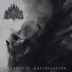 Image for 'Necrotic Assimilation'