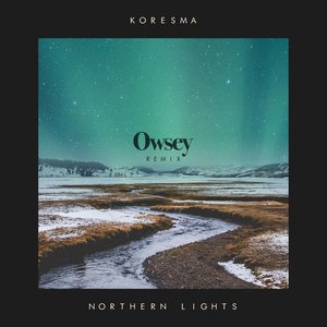 Image pour 'Northern Lights (Owsey Remix)'
