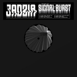 'Signal Burst'の画像