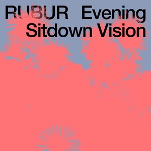 Image for 'Evening Sitdown Vision'