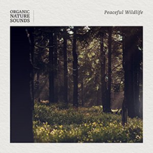 Image for 'Peaceful Wildlife'