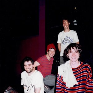 Изображение для 'Animal Collective'