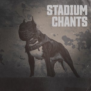 Image for 'Stadium Chants'