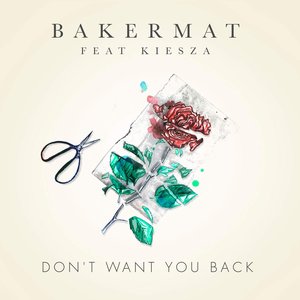 Imagen de 'Don't Want You Back (feat. Kiesza)'