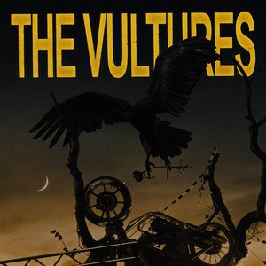 Image for 'THE VULTURES'