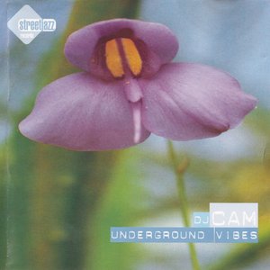 “Underground Vibes”的封面