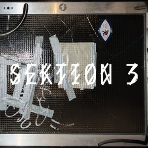 Image for 'Sektion 3'